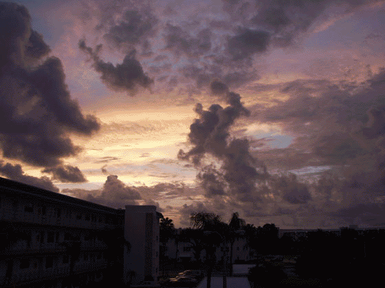 anim2.gif
Live clouds above our home - 
the Ivy Building at
5725 80th St. N.
Saint Petersburg, Florida 
