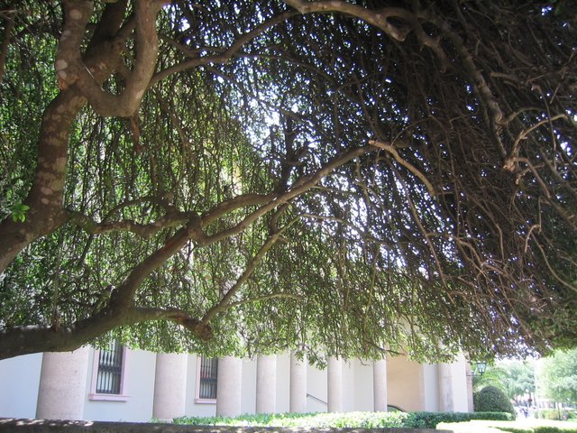 IMG_0517.JPG