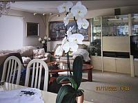 IMG 1254   Krasna orchidej od Tonika k vanocum...