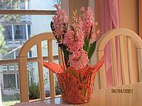 IMG 0725