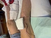 IMG 0653