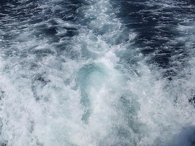 P1040606.JPG