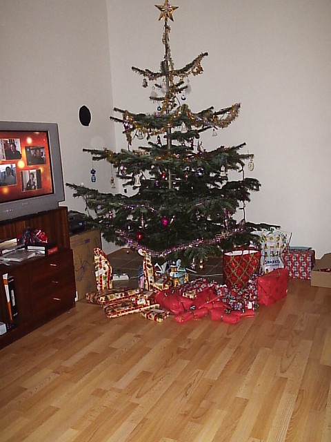 P3121623.JPG