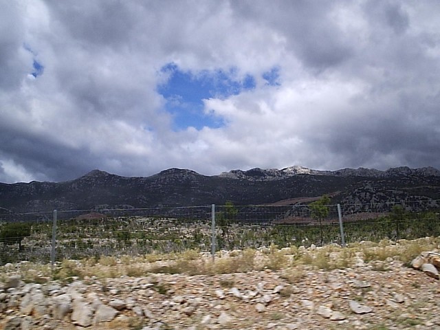 P2091336.JPG