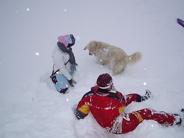 P1012915.JPG