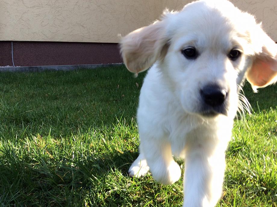 2016-04-07 1 Arwenka