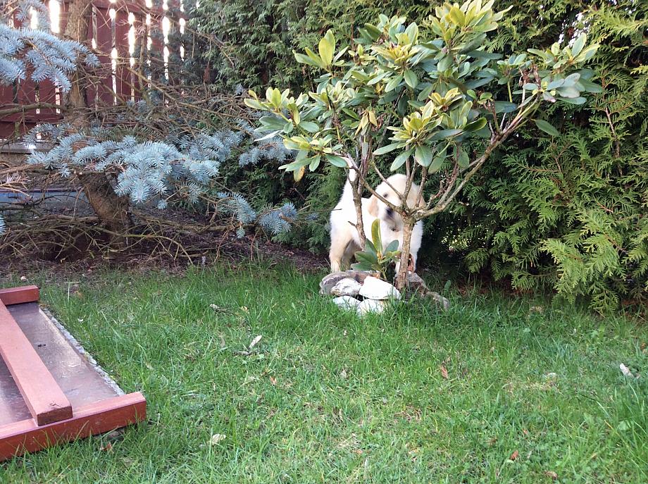 2016-04-07 10 Arwenka