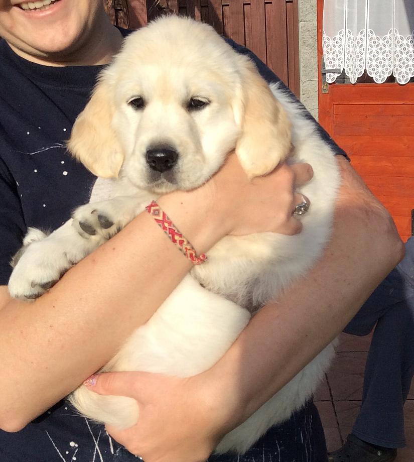 2016-04-07 23 Arwenka