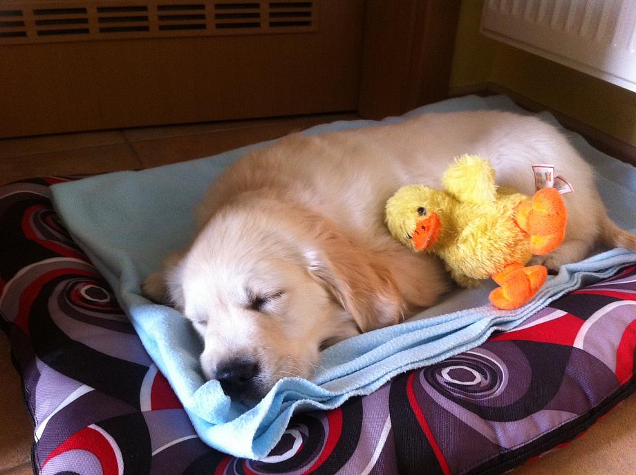 2016-04-07 32 Arwenka