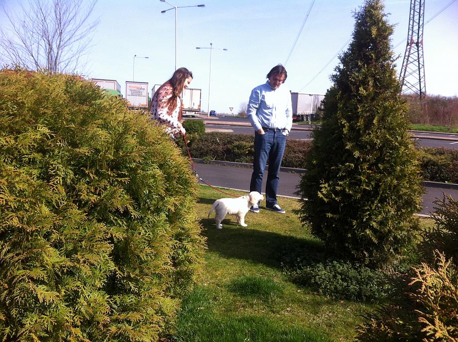 2016-04-07 34 Arwenka