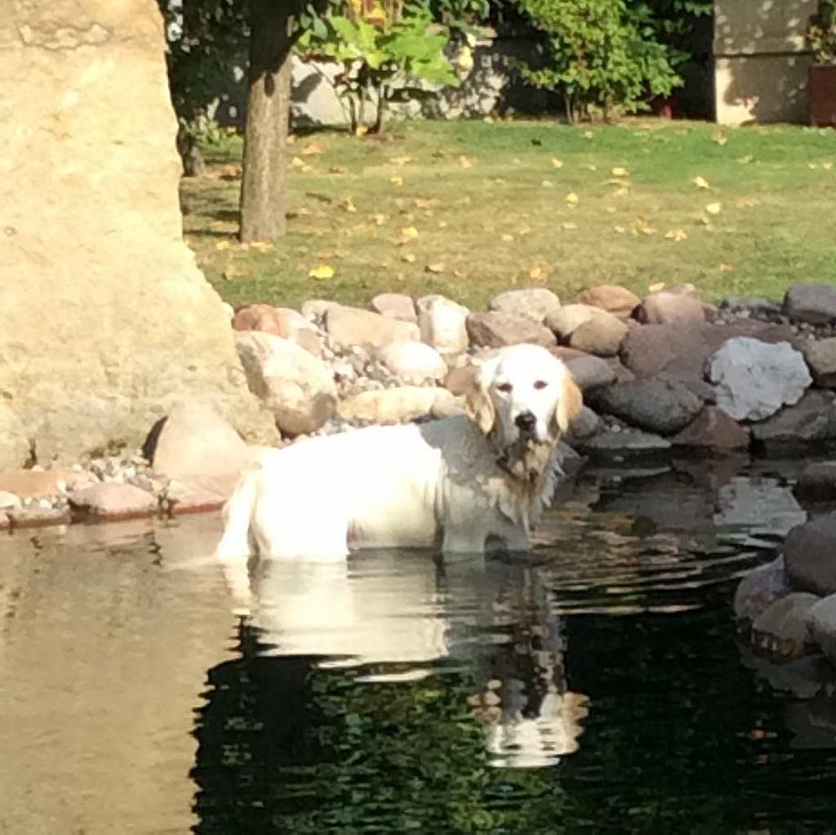 26510683 10214996109125231 1678871051 o