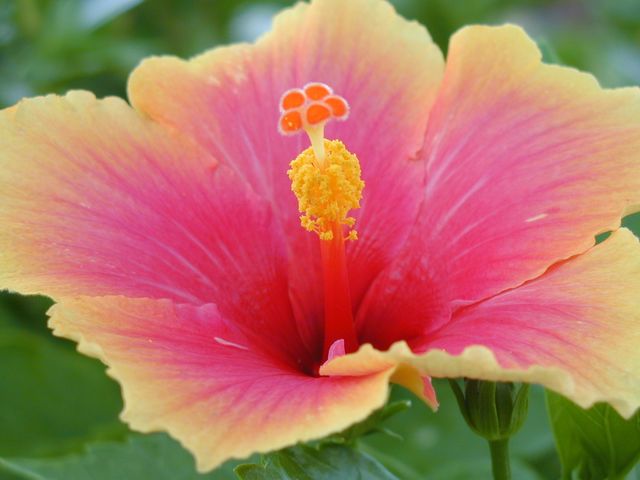 P8142665.JPG
Nature's Wonder