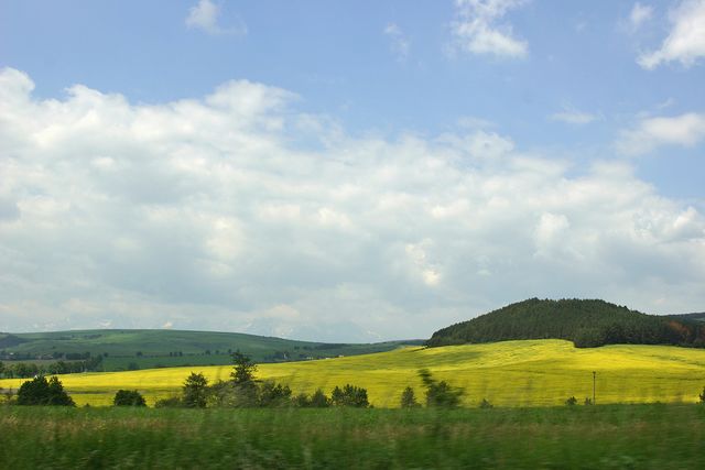 FOR MORE PICTURES SEE ALBUM: 
KORES - TACHOV,CZ IMG_1389.jpg