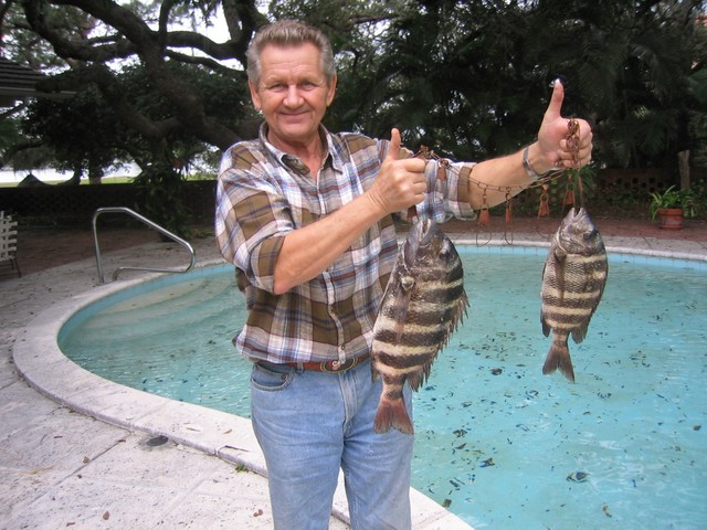 SHEEPSHEAD IMG_3553.JPG