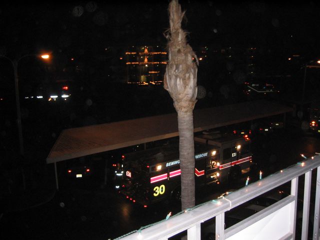 Florida December 2005 012.jpg