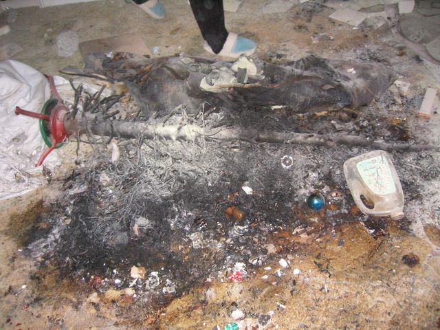 Florida December 2005 051.jpg