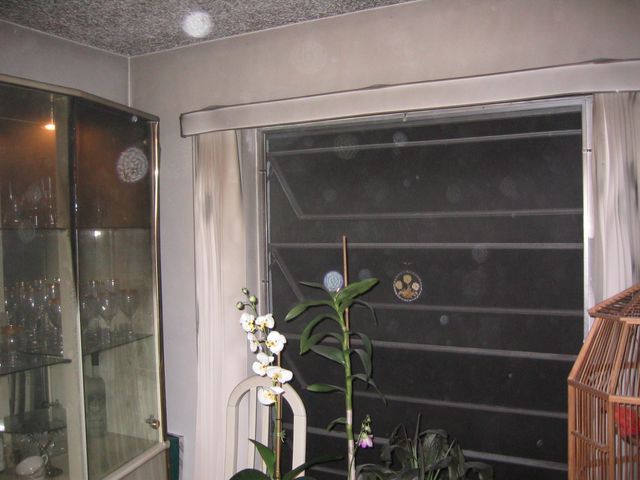 Florida December 2005 055.jpg