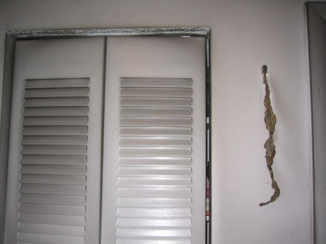 Florida December 2005 059.jpg