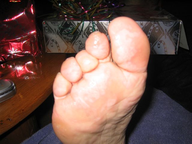 Florida December 2005 062.jpg