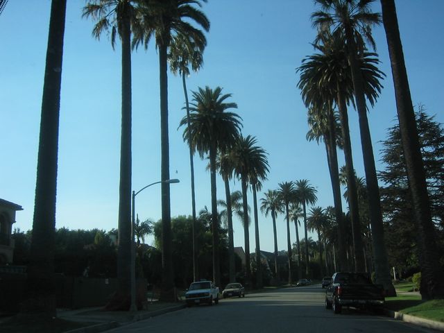 Hillcrest Road Beverly Hills + next 8 pictures IMG_4345.JPG