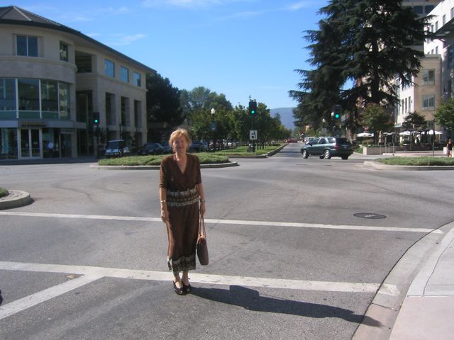 Mountain View IMG_4432.JPG