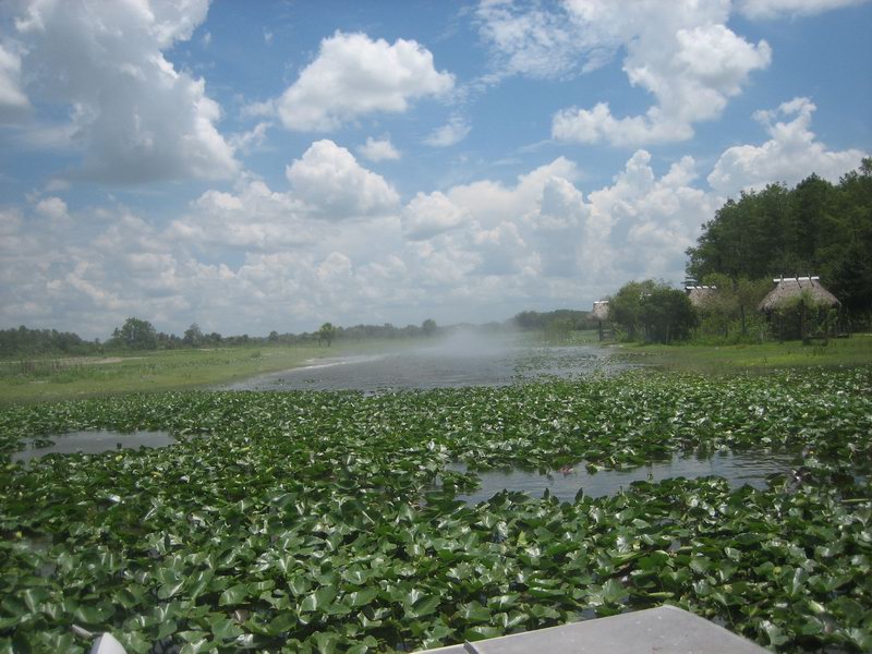 Vylet do mocalu ...IMG 5621