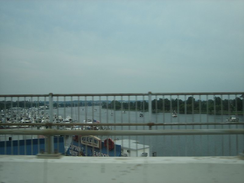 Potomac river  IMG 5710