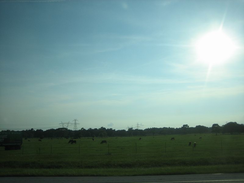 Going south on I-75 heading to Tampa  IMG 6129