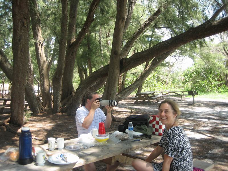 Lido Beach in Sarasota IMG 6607