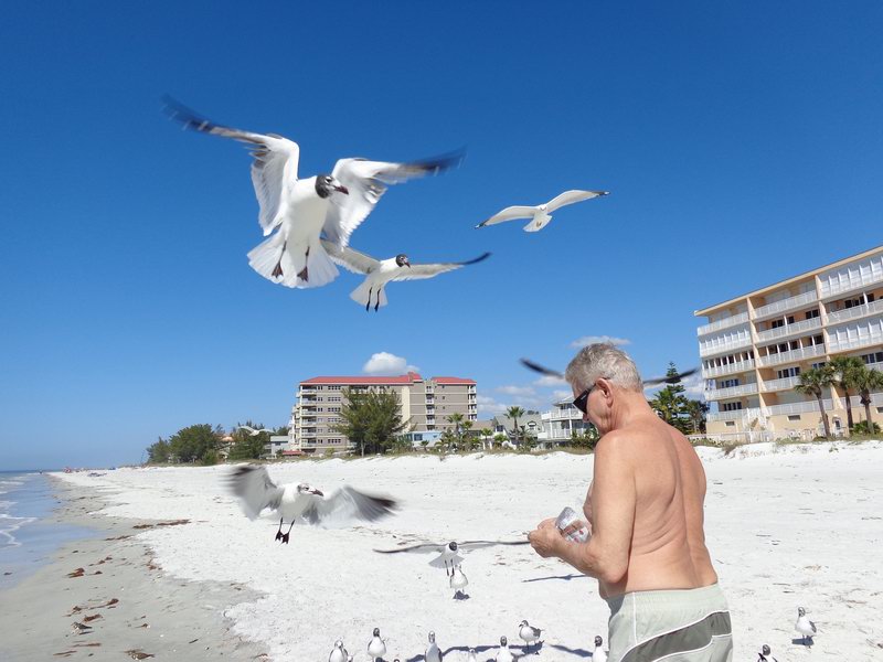 Indian Shores DSC00017