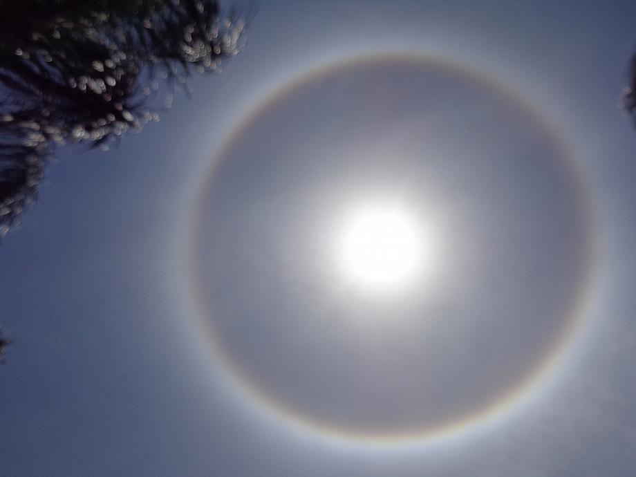 April 16, 2014 DSC00051