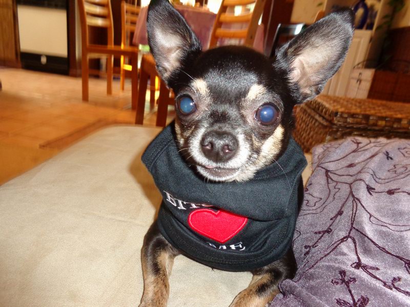 Vash, nase zlaticko!!!DSC00175