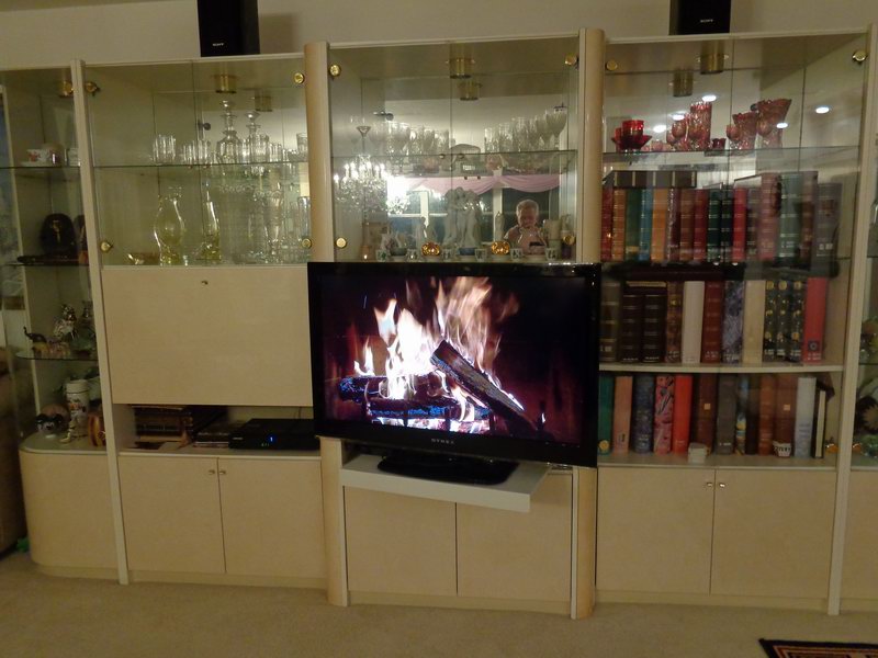 Our fireplace DSC00315