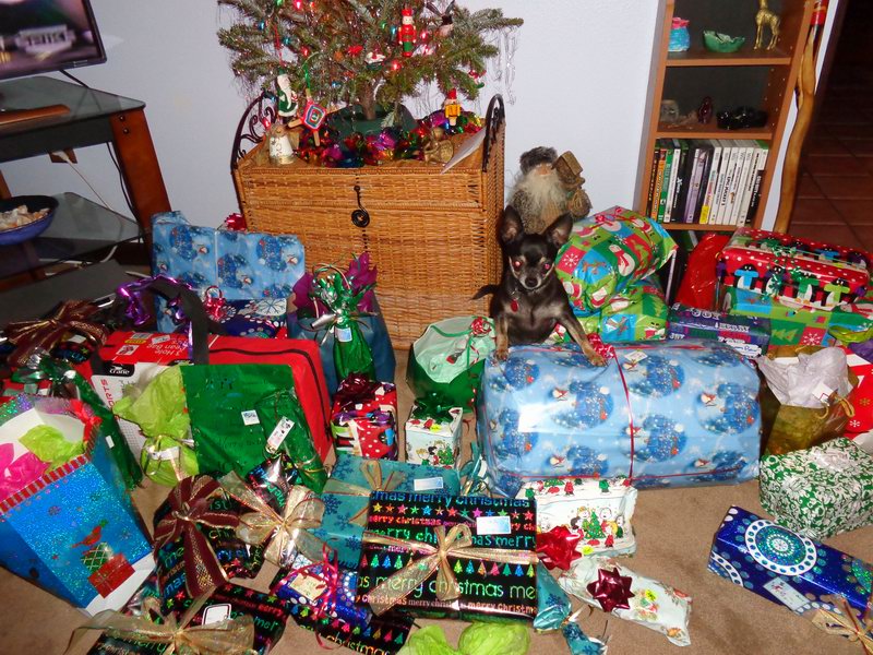 Where is Vash ????????????  DSC00317