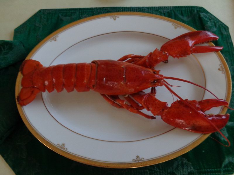 Silvestr 2014, pochutnali jsme si na Lobster,kazdy jednoho...Moc dobre .. DSC00348