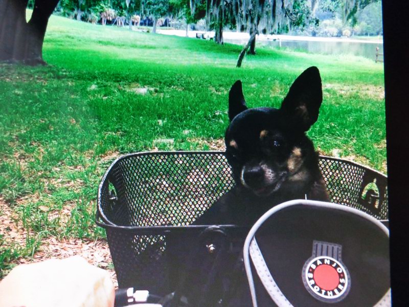 Vash s Hanickou sportuje!!!  Ha,ha...