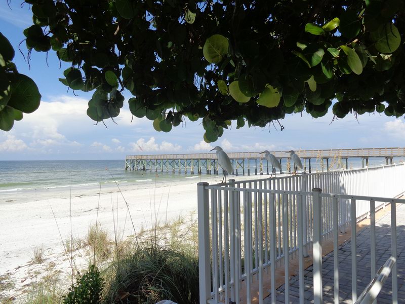 Buchtovi se louci s morickem ....DSC00810