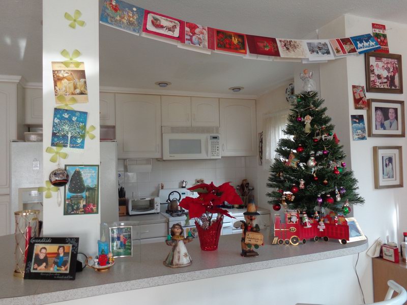 Nas maly stromecek...DSC00951