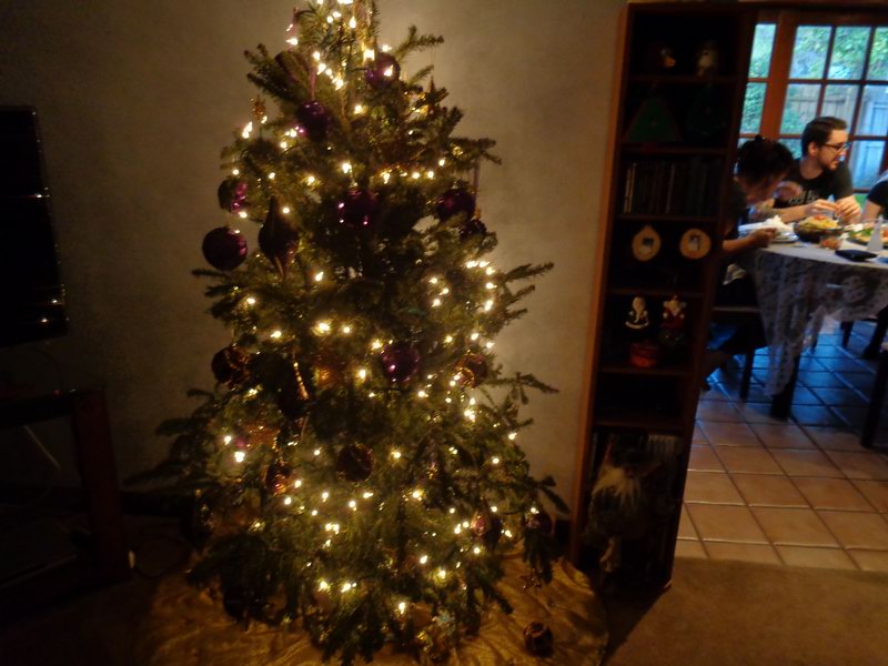 Hanicky a Josh stromek.....DSC00953