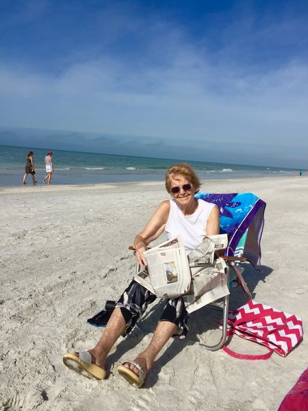 DSC06986 Indian Shores beach 1-1-2016