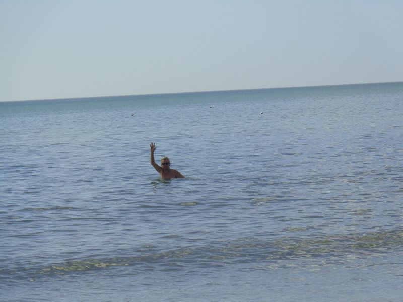 DSC07687 Indian Shores Beach Dec 25, 2016