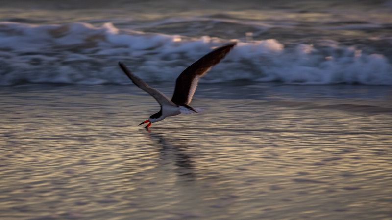 20160815194831 106867