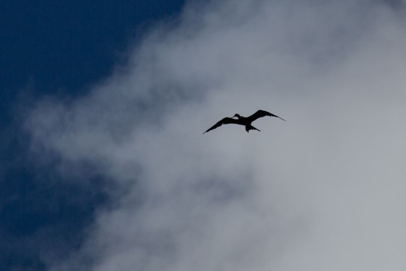 20160816105513 107178