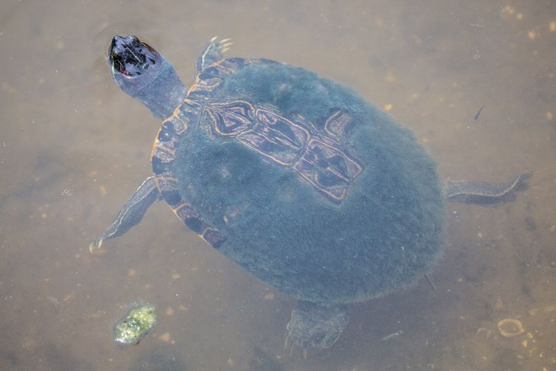 20160820144005 107549