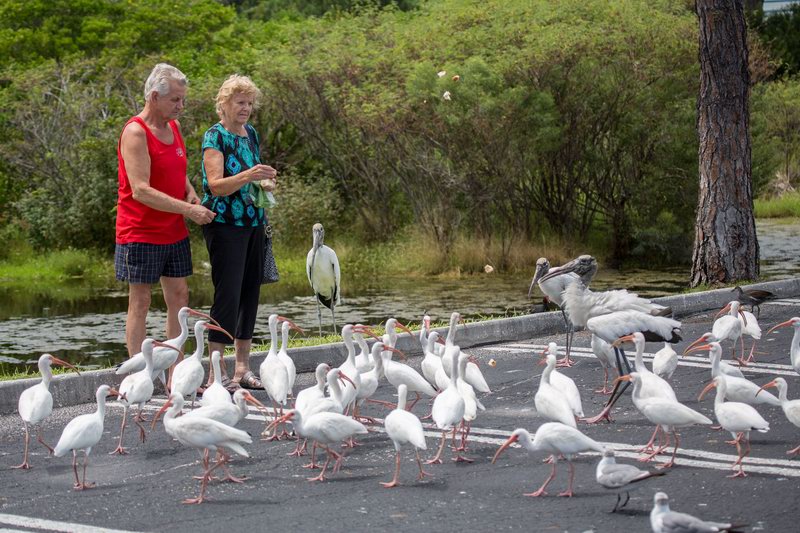 20160820144807 107639