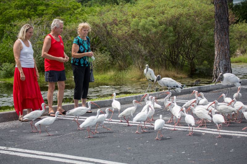 20160820144823 107651