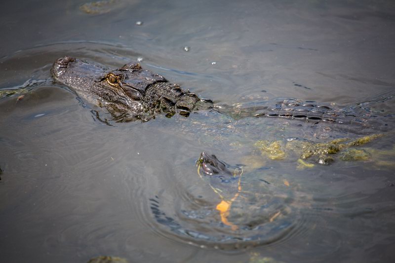 20160820145000 107685