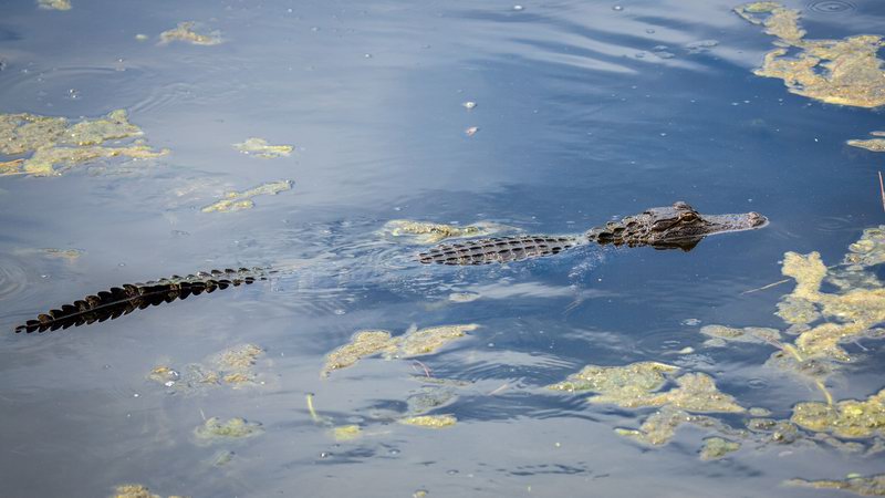 20160820145014 107699