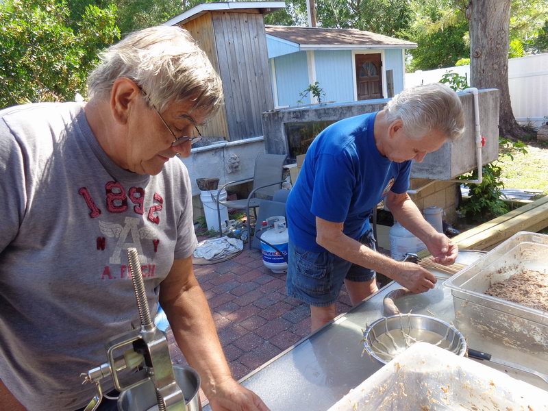 Tonik spejluje...DSC07857