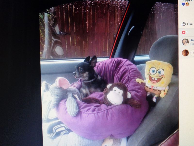 Vas se stehuje tresor...DSC08005